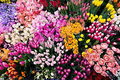 《黑与白》风格启发《神命》9月15日开始抢先体验